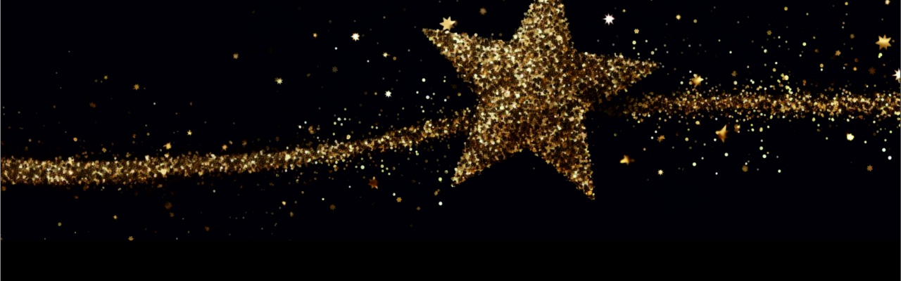 Wir wünschen Ihnen schöne Weihnachten und einen guten Start in ein erfülltes, glückliches und vor allem ein gesundes neues Jahr 2026.